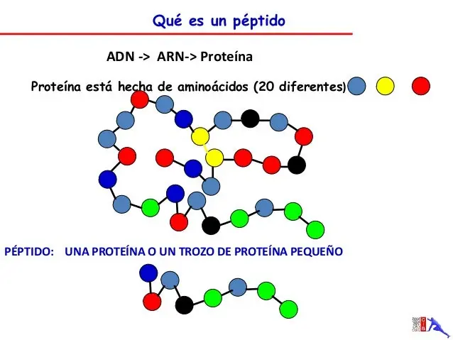 quimica