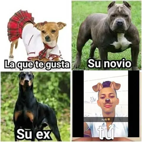 chistes graciosos