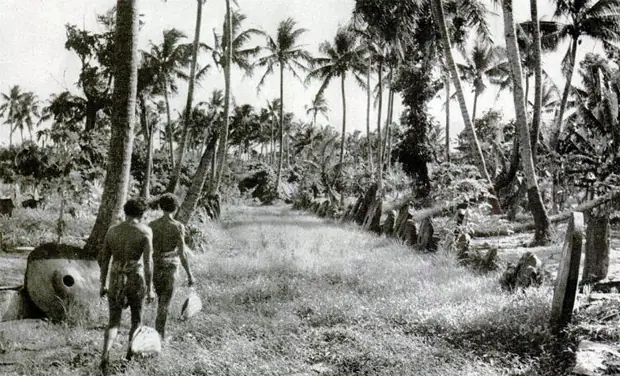 Isla de yap
