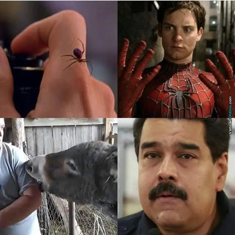 buenas