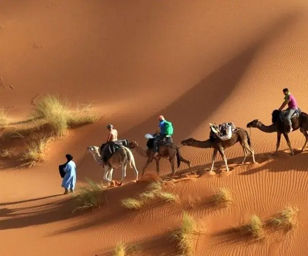 desiertos