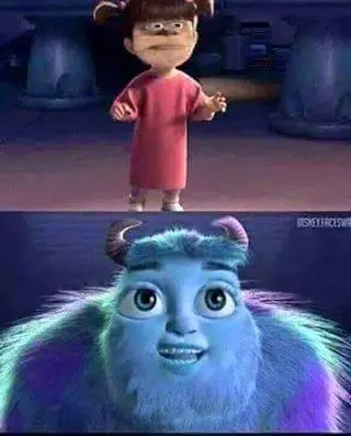 fotos