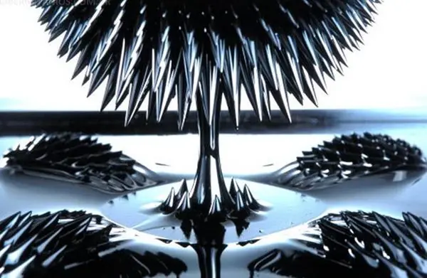 Fascinante Fascinante