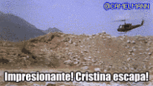 forros