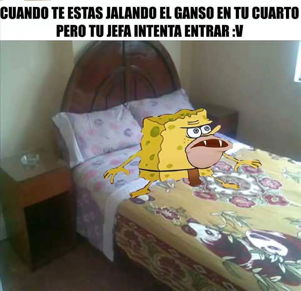 fotos