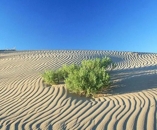 ¡Los 10 desiertos más peligrosos del mundo!