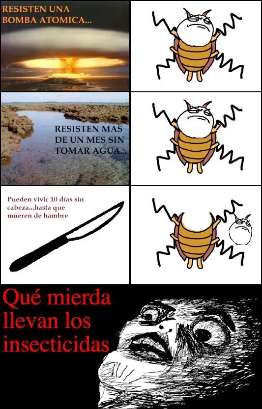 memes