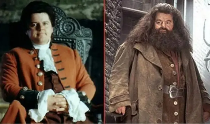 profesores de harry potter de jovenes