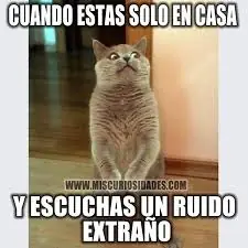 Entra a reírte con estos memes