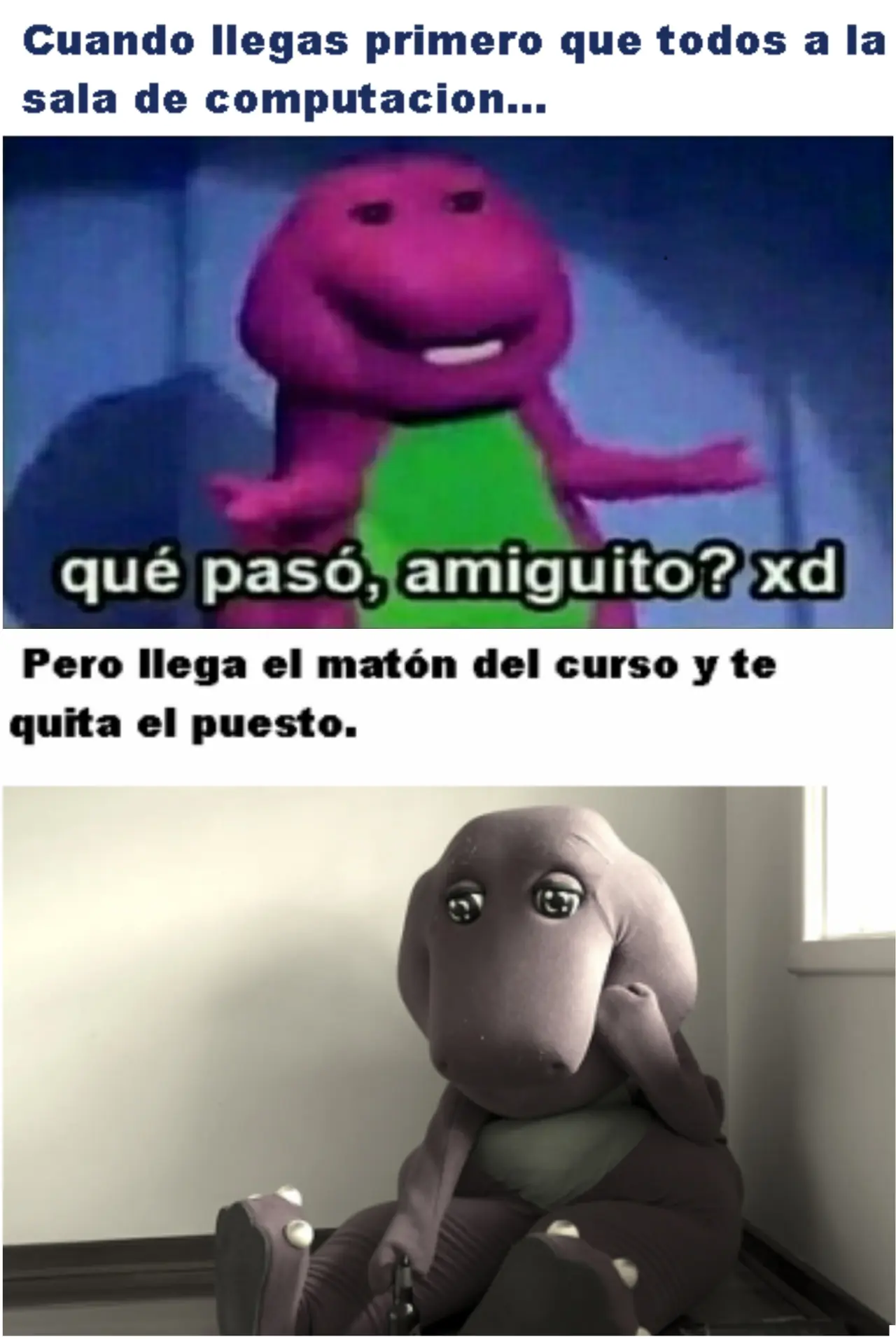 fotos