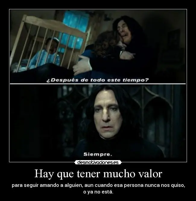 noticias de harry potter