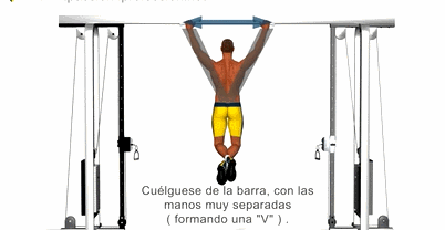 Gana Masa Muscular desde Casa