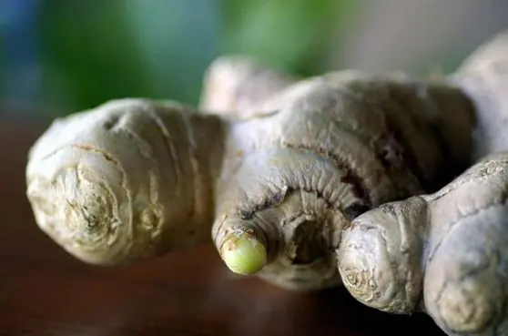 organico organico