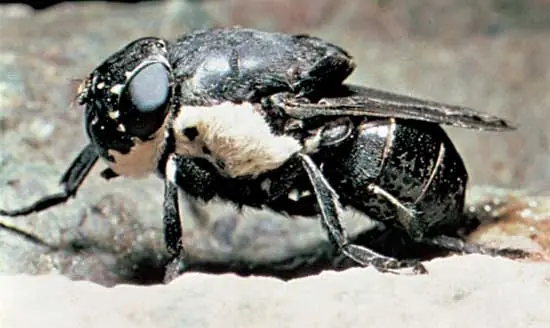 ciencias naturales