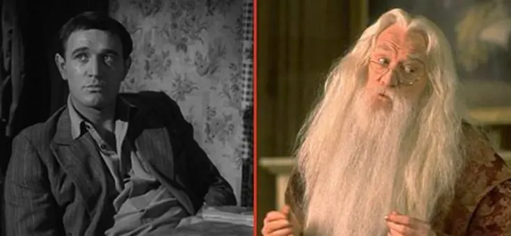 profesores de harry potter de jovenes
