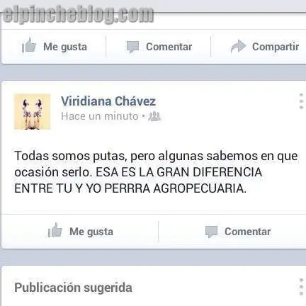 estupidos