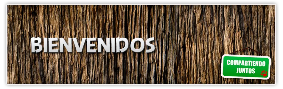 ¿Crees que lo que aparece en esa fotografía es un fantasma