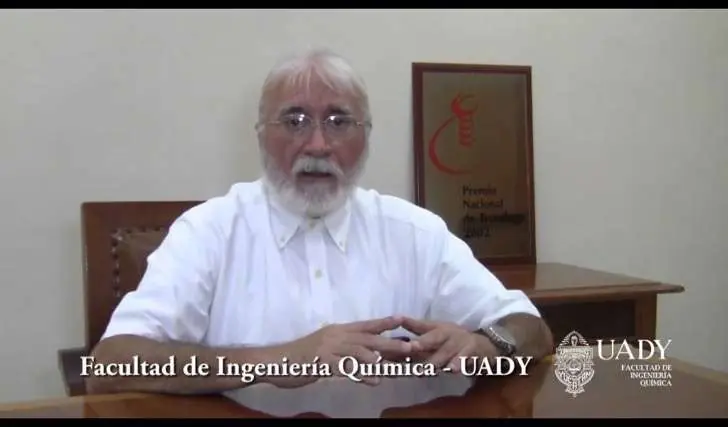 Logra sacarle la sal al agua de mar con este “simple” objeto