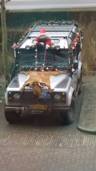 lince cosmico de las praderas