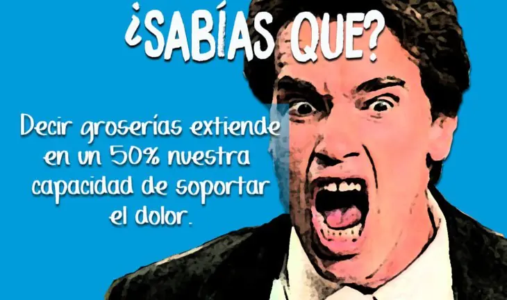 ensenaron