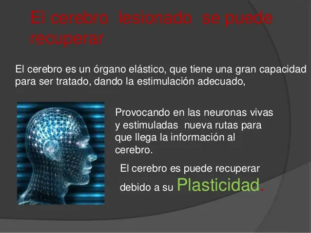 personas en coma
