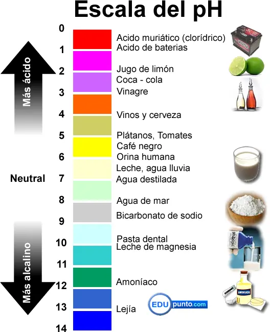Como hacer un indicador de ph y no morir en el intento.