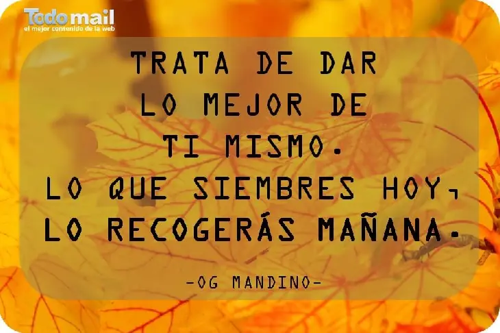 13 Grandes frases que debes conocer.