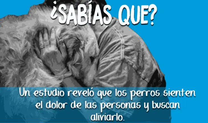 ensenaron