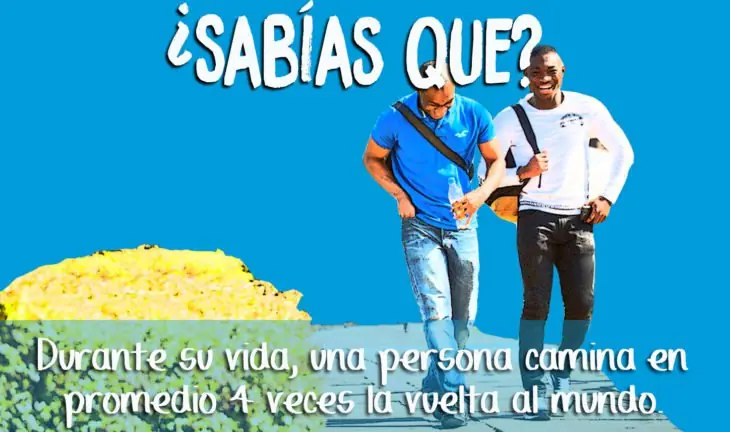 nunca