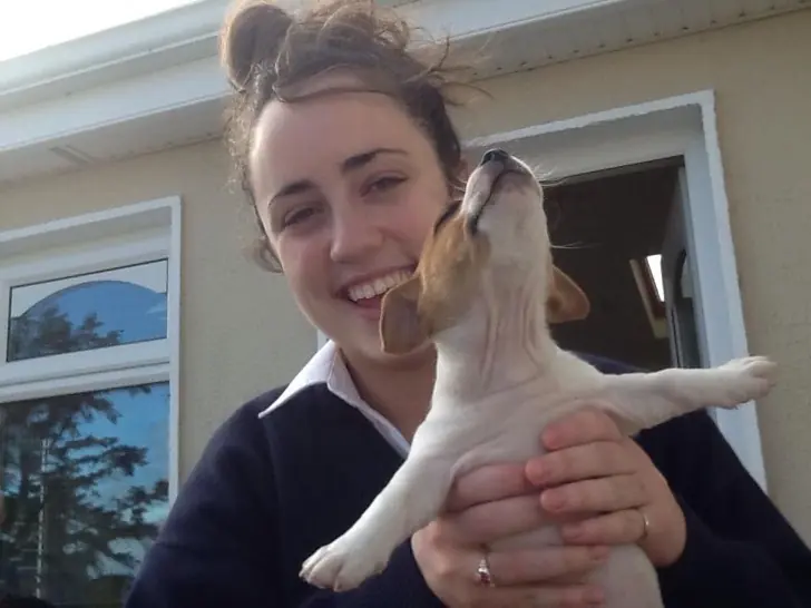 Este perrito es la nueva víctima del Photoshop