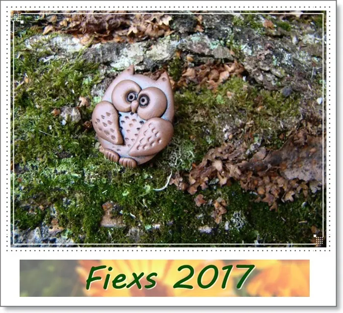 fiexs