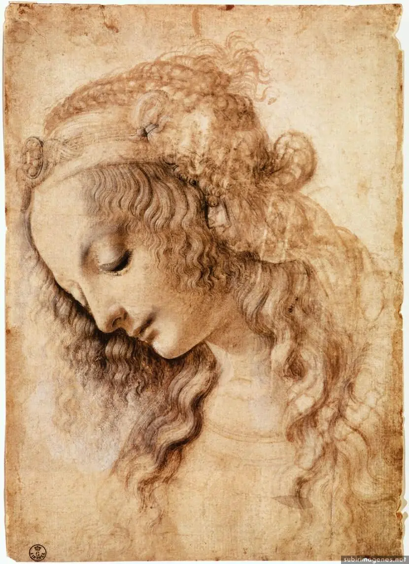 leonardo