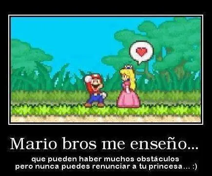 mario bross
