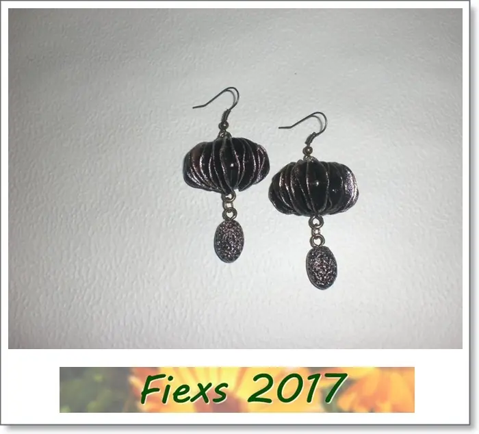 fiexs