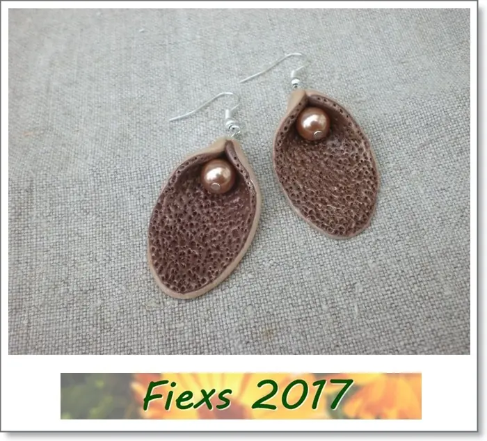 fiexs