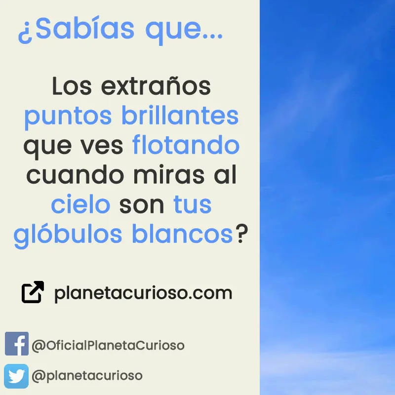 datos