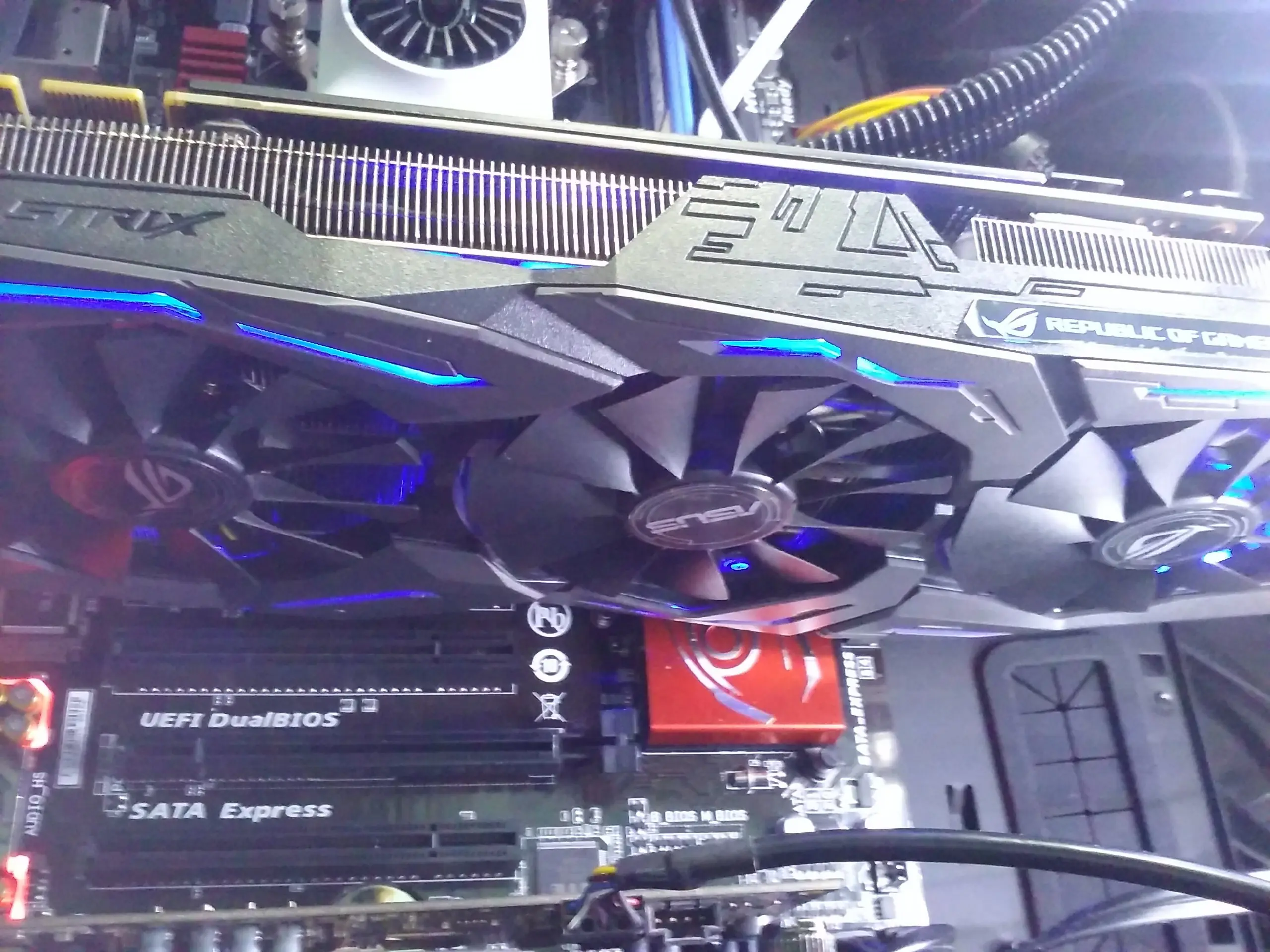 master race