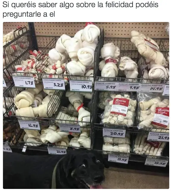 Humor de sábado 04/03/2017