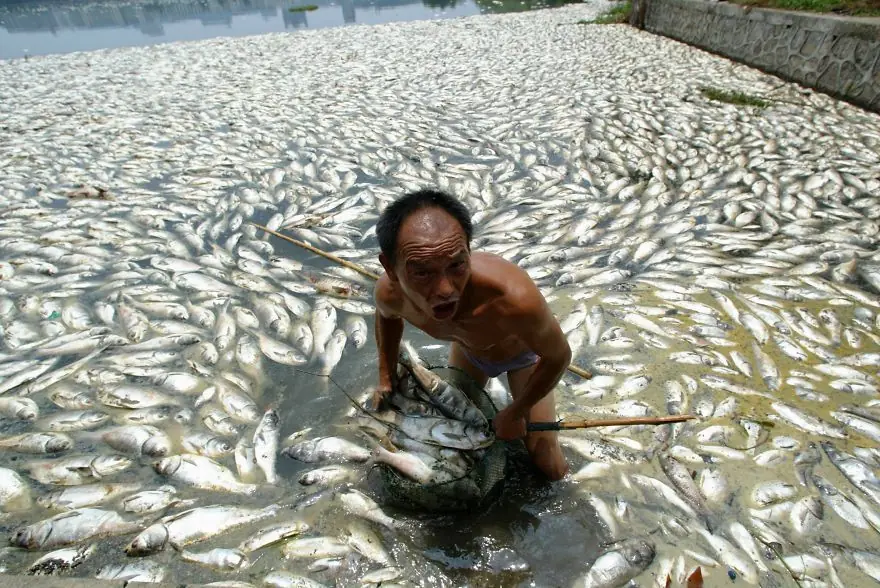 imagenes sobre la contaminacion imagenes sobre la contaminacion