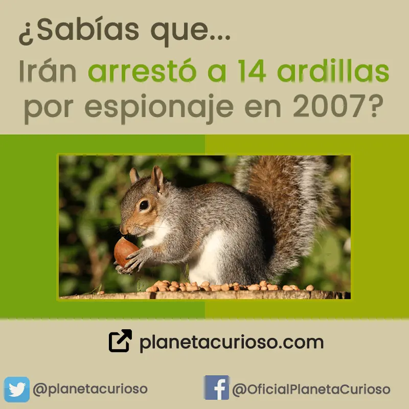 9 Datos curiosos increíbles que te costará creer