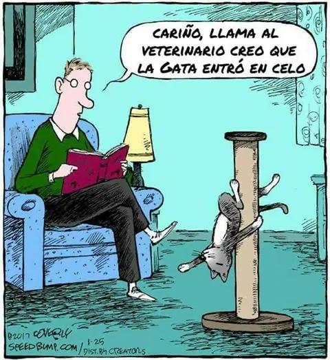 entra y reite