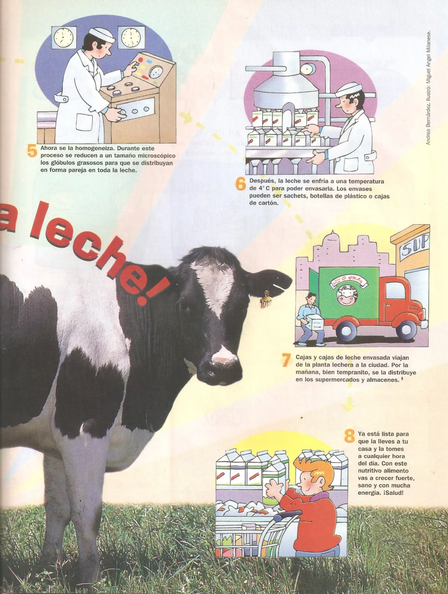 revista