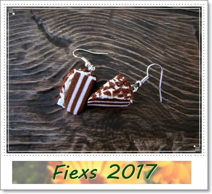 fiexs