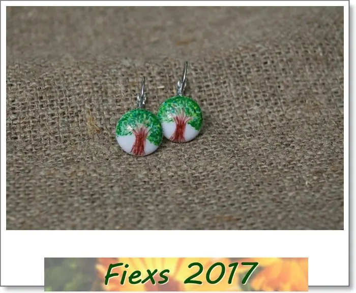 fiexs