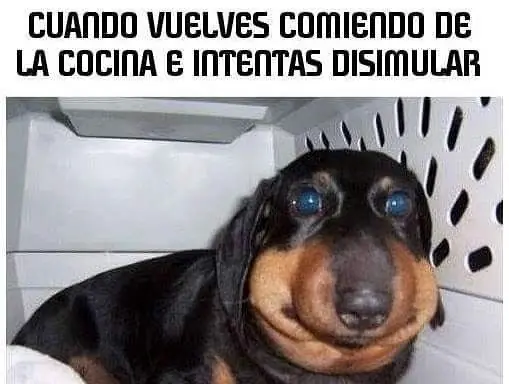 taringa