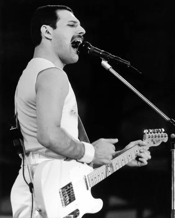 freddy mercury