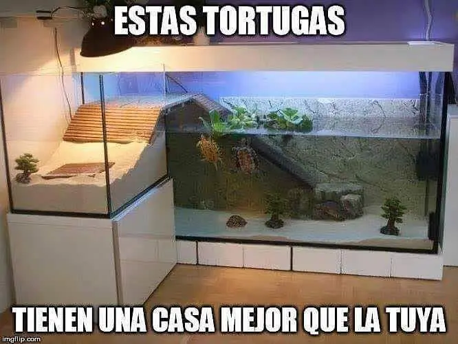 imagenes