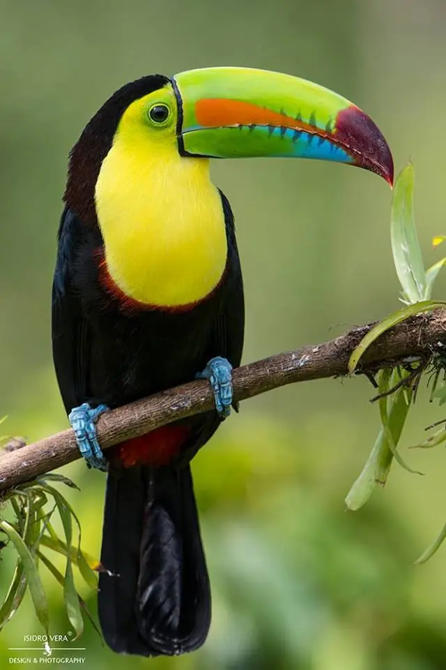 Naturaleza