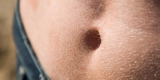 cuerpo