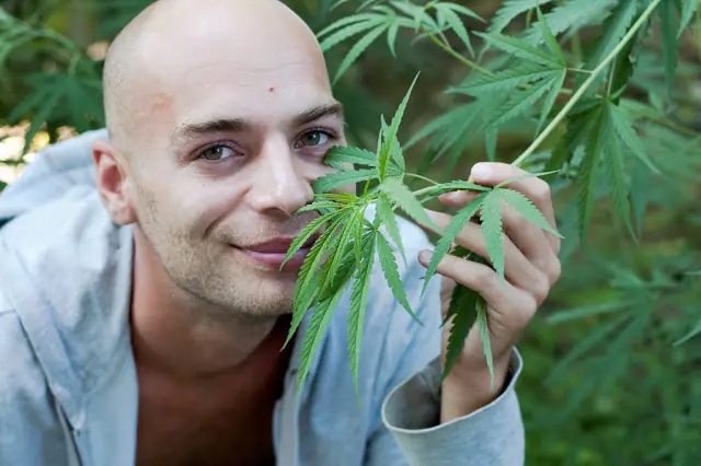 Cannabis bloquea las náuseas luego de la quimioterapia.